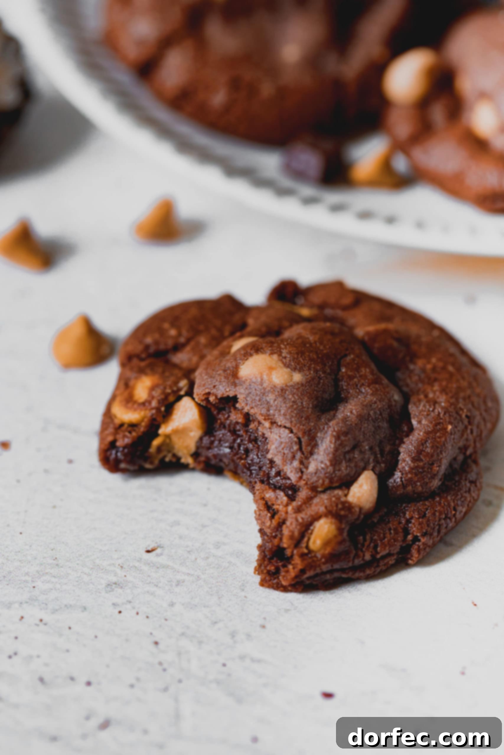 A peanut butter chocolate cookie that is broken in half. The chocolate cookie has peanut butter chips in it.