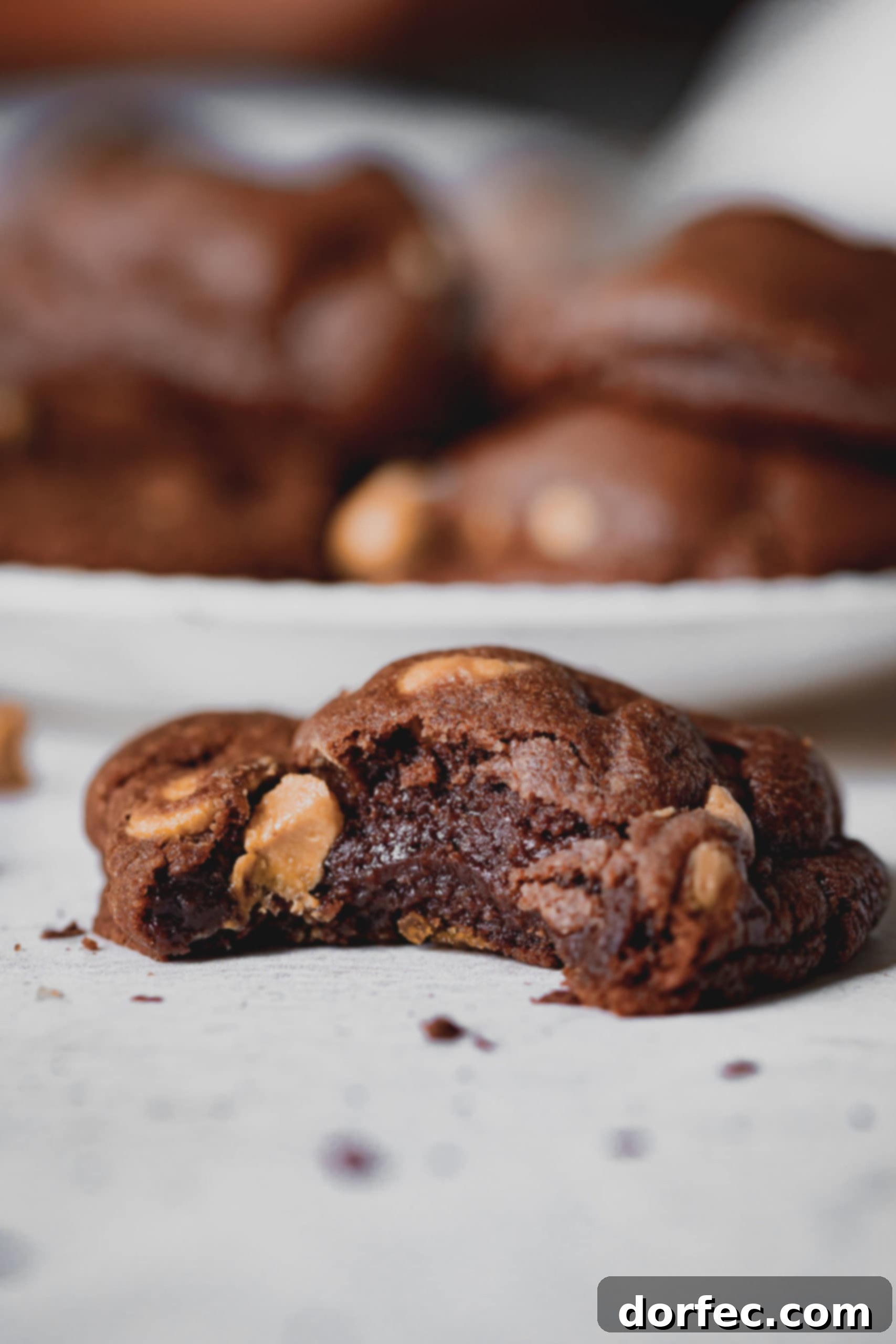 A peanut butter chocolate cookie that is broken in half. The chocolate cookie has peanut butter chips in it.