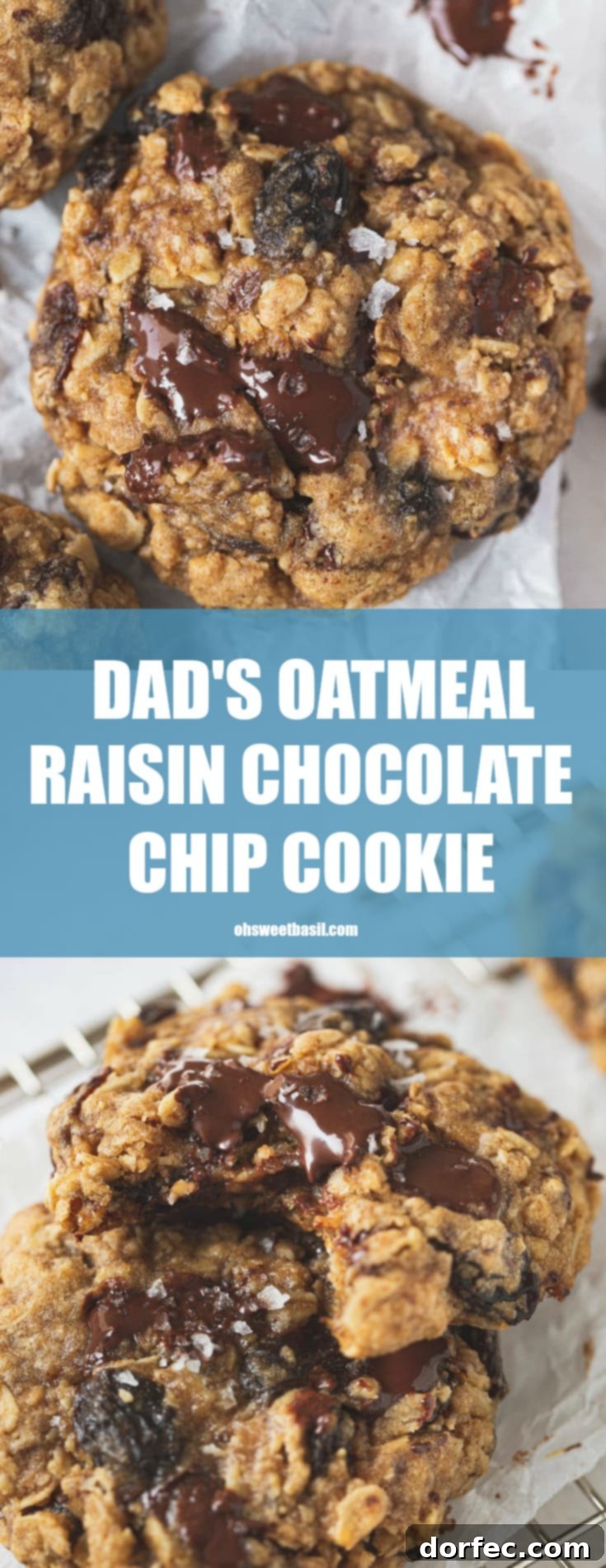A warm oatmeal raisin chocolate chip cookie, showcasing its rustic texture, visible oats, and generous amounts of plump raisins and melted chocolate chunks.