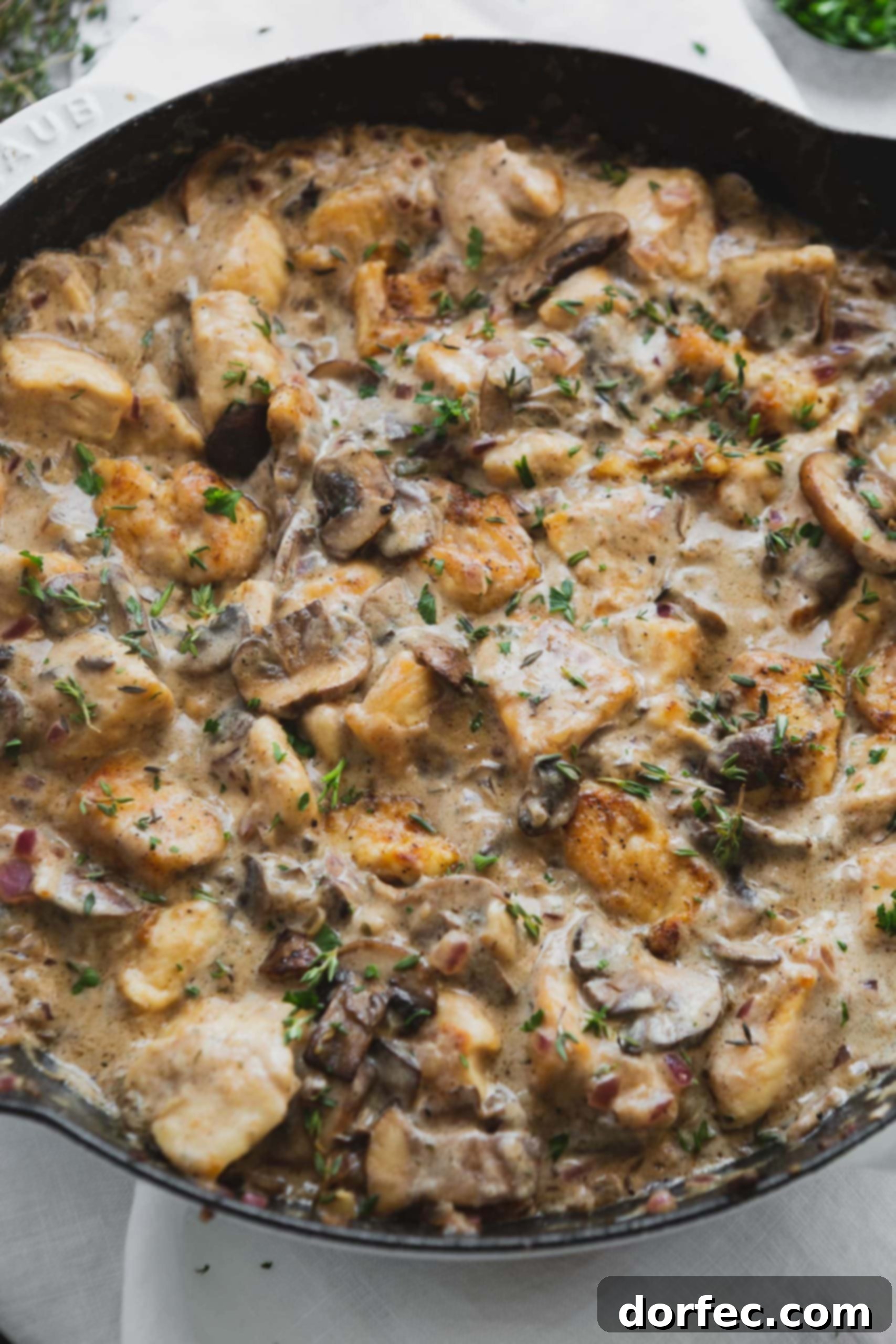 A close up of chicken stroganoff. There are chunks of chicken in a rich creamy sauce with mushrooms and herbs.