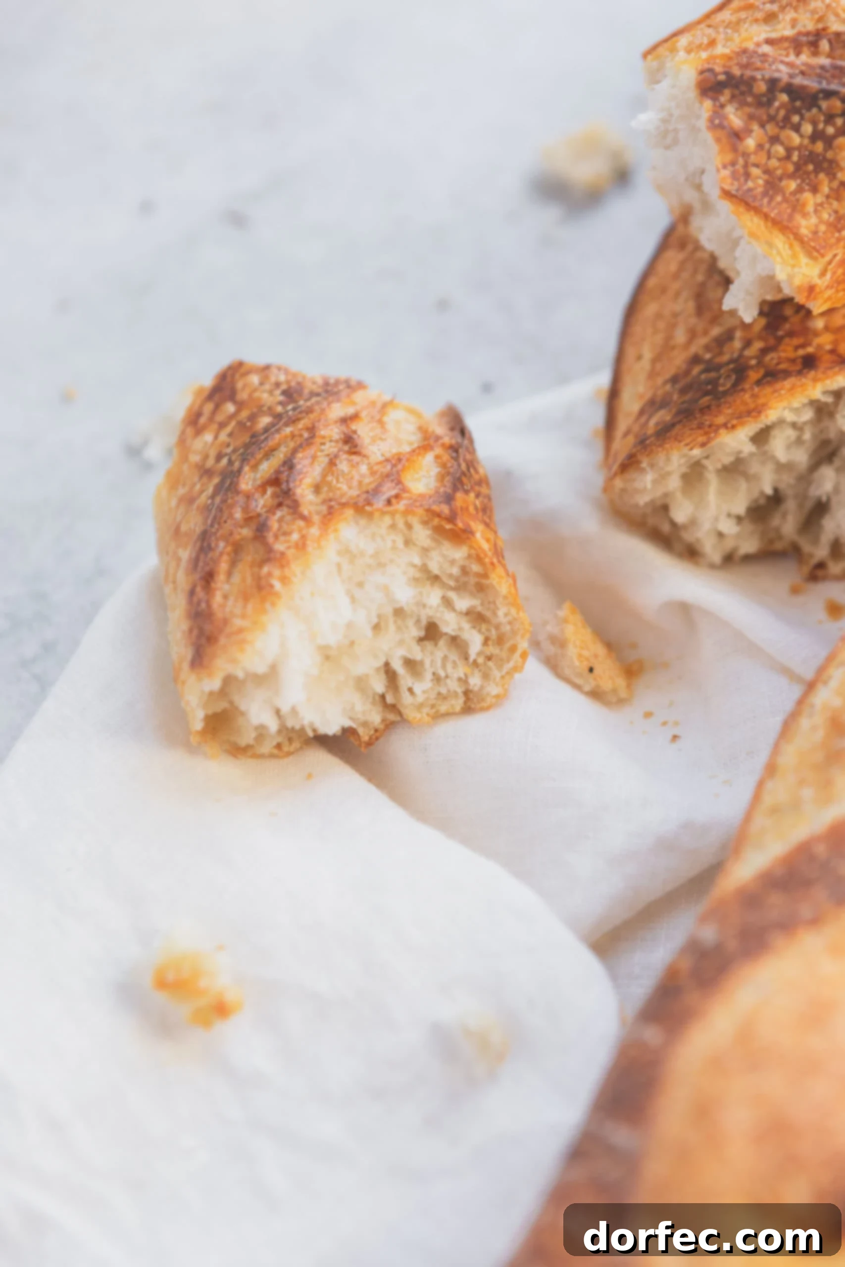 A couple of broken pieces of baguette. They are crispy on the outside and soft on the inside.