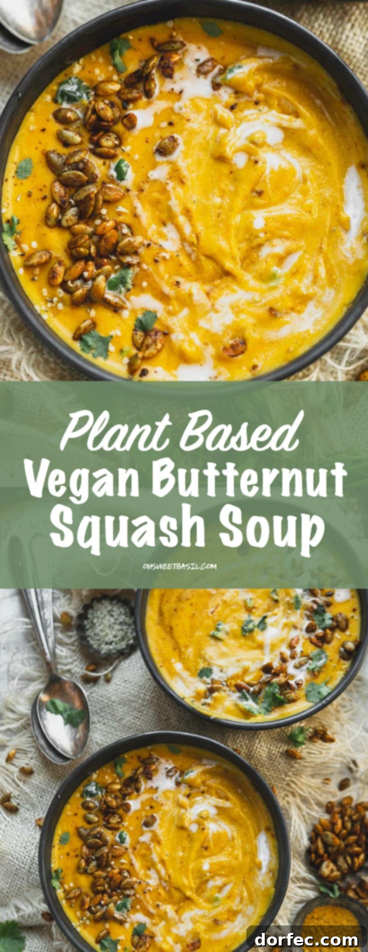A top view of vibrant vegan butternut squash soup, perfectly garnished with fresh cilantro and toasted hemp seeds.