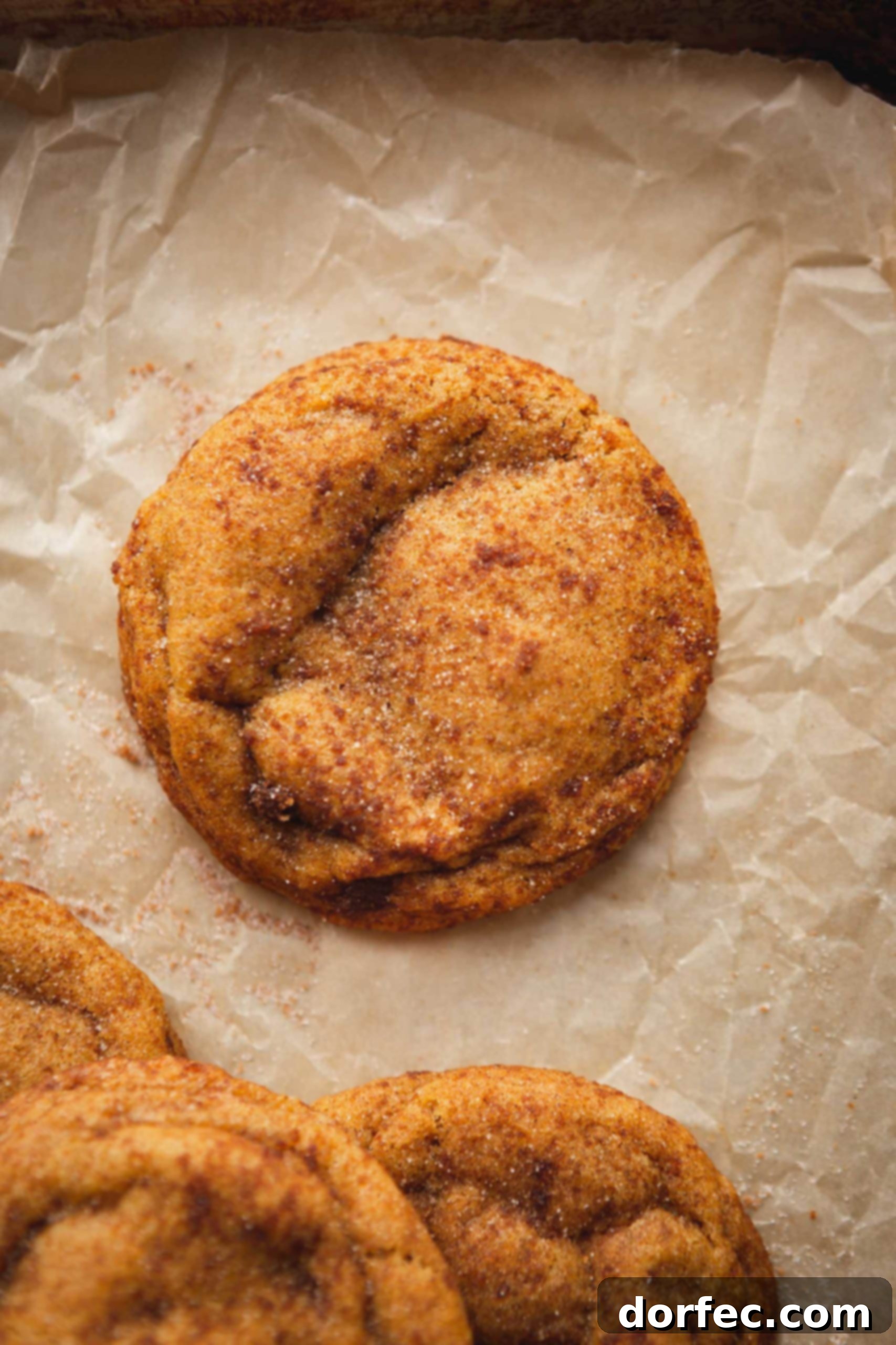 A perfectly golden-brown chewy pumpkin cookie, generously coated with a crispy brown sugar and cinnamon topping.