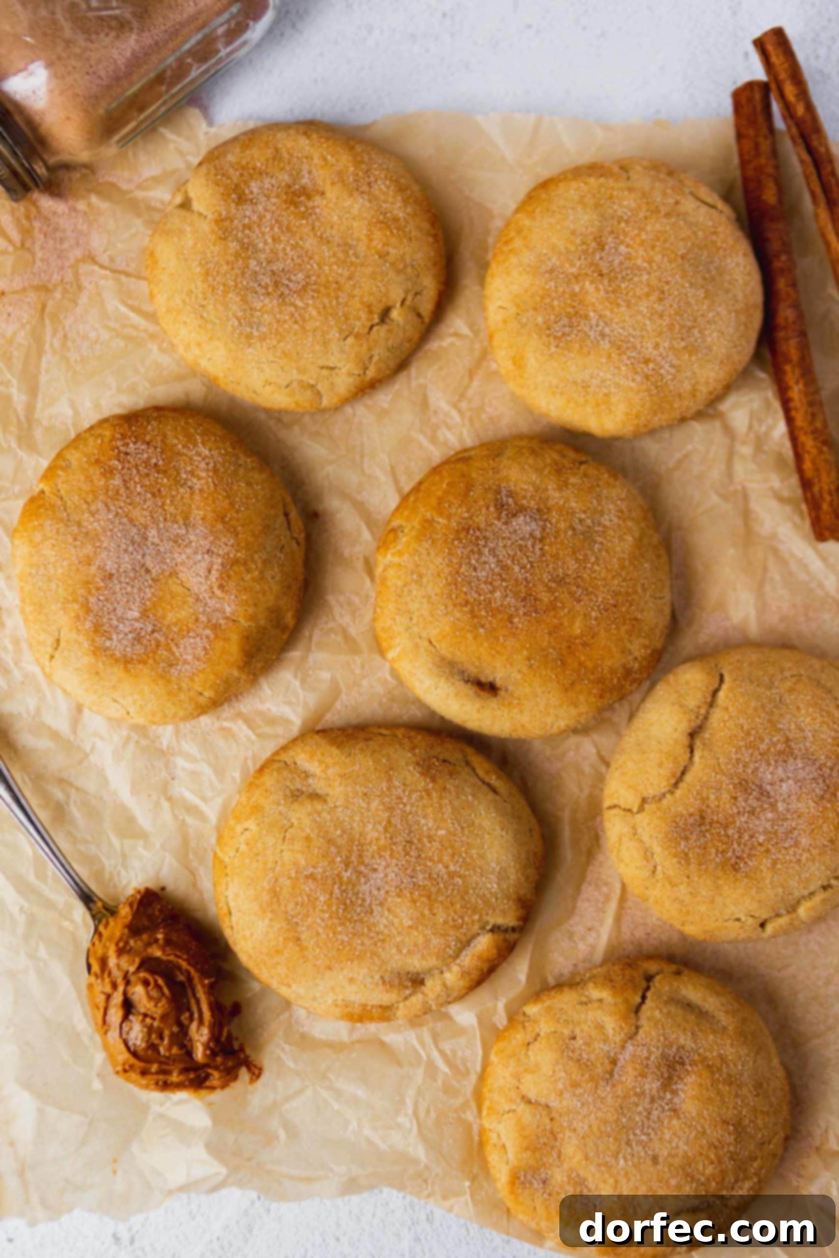 Baked large and thick snickerdoodles on parchment paper. They are sprinkled with cinnamon sugar and a spoonful of biscoff is next to the cookies.