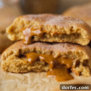 Biscoff Stuffed Snickerdoodle Cookies