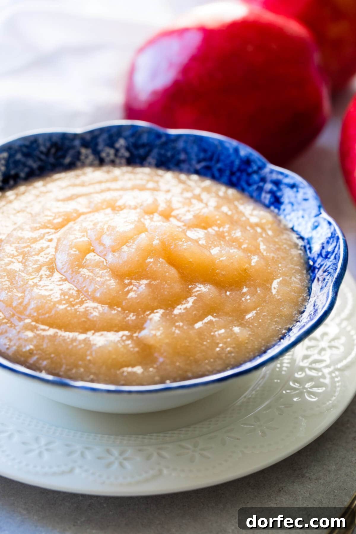 A while back I shared our 2 ingredient instant pot applesauce recipe on an instagram story and now I'm sharing it here along with how to can applesauce. ohsweetbasil.com