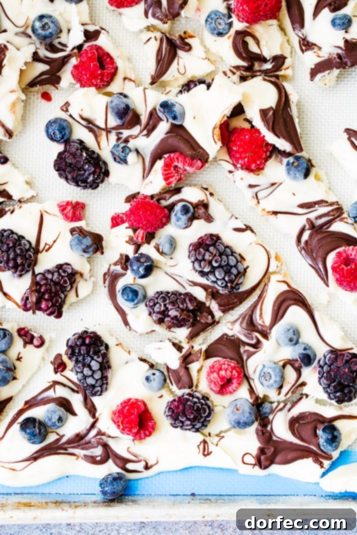 A pan of healthy chocolate swirled berry frozen yogurt bark, garnished with fresh berries.