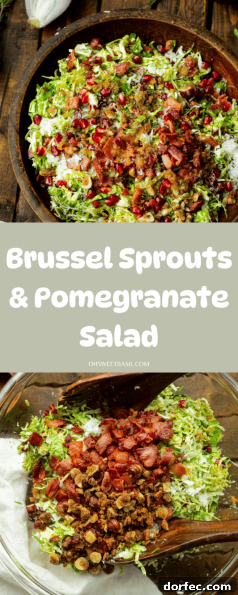 Jewel-Toned Brussels Sprouts with Pomegranate 8 A delicious winter salad featuring crispy bacon, creamy Manchego cheese, juicy pomegranate arils, and crunchy candied nuts, all combined with perfectly shredded Brussels sprouts.
