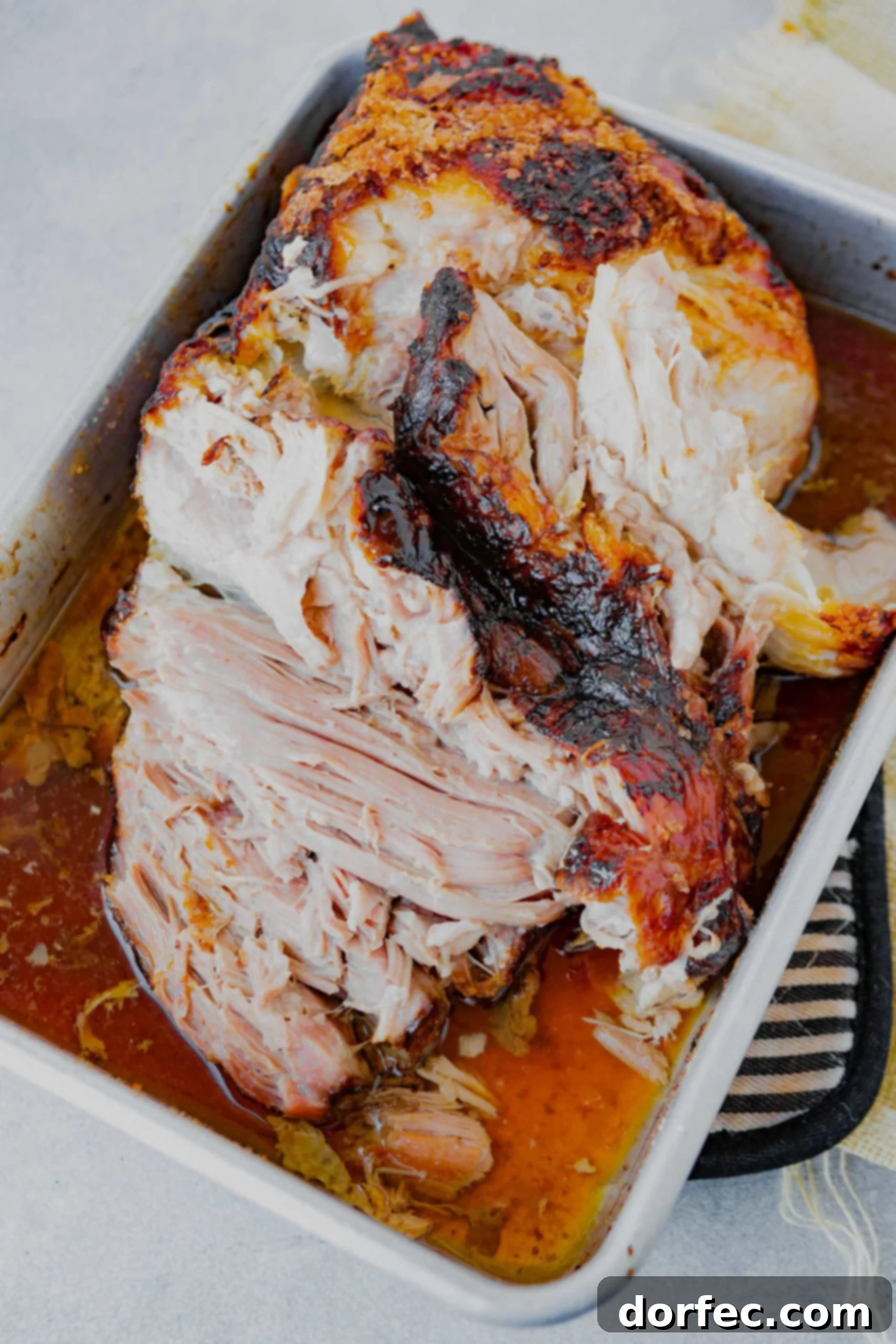 A photo of a tender pork roast starting to be shredded in a white baking dish.