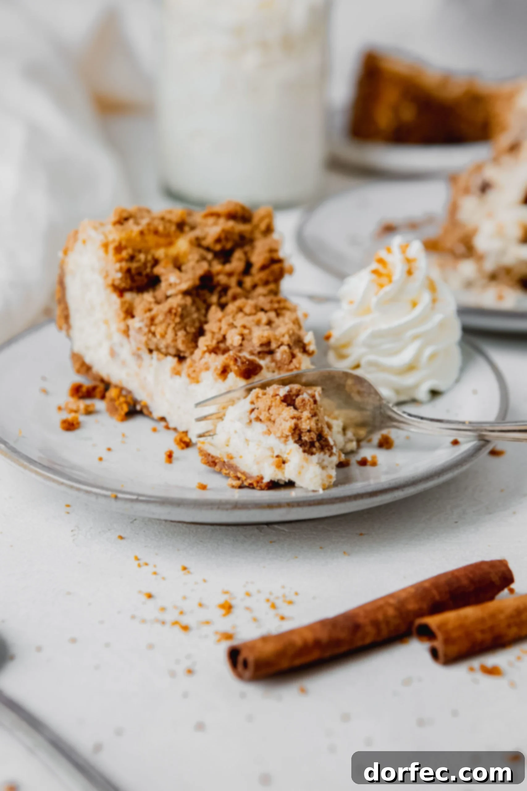 Biscoff Snickerdoodle Cookie Explosion Cheesecake A slice of biscoff snickerdoodle cheesecake on a white dessert plate. There is a dollop of whipped cream on the plate next to the cheesecake. The creamy cheesecake has a cinnamon sugar snickerdoodle topping.