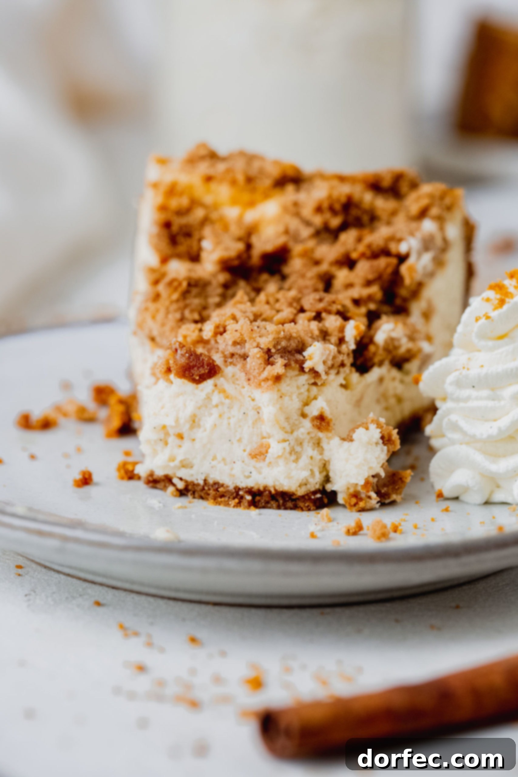 Biscoff Snickerdoodle Cookie Explosion Cheesecake A slice of biscoff snickerdoodle cheesecake. The cheesecake is creamy and is topped with a cinnamon sugar snickerdoodle topping. A dollop of whipped cream is on the plate next to the cheesecake.