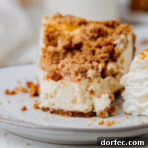 Biscoff Snickerdoodle Cookie Riot Cheesecake 2 Biscoff Snickerdoodle Cookie Explosion Cheesecake