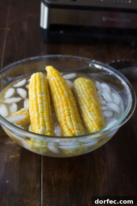 Three blanched ears of sweet corn soaking in an ice water bath in a glass bowl to stop the cooking process.