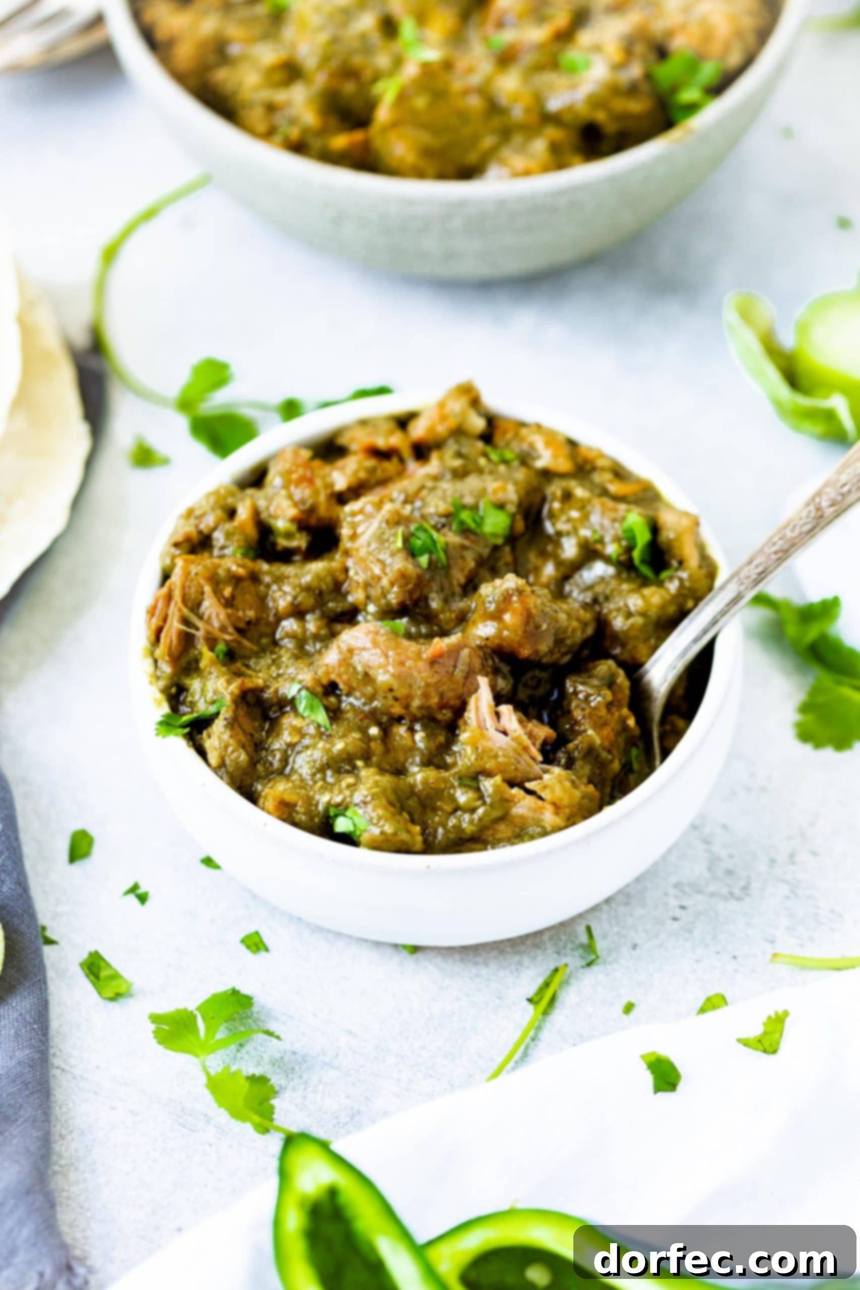 A photo of a bowl full of large chunks of pork chile verde with a spoon sticking out of the bowl.