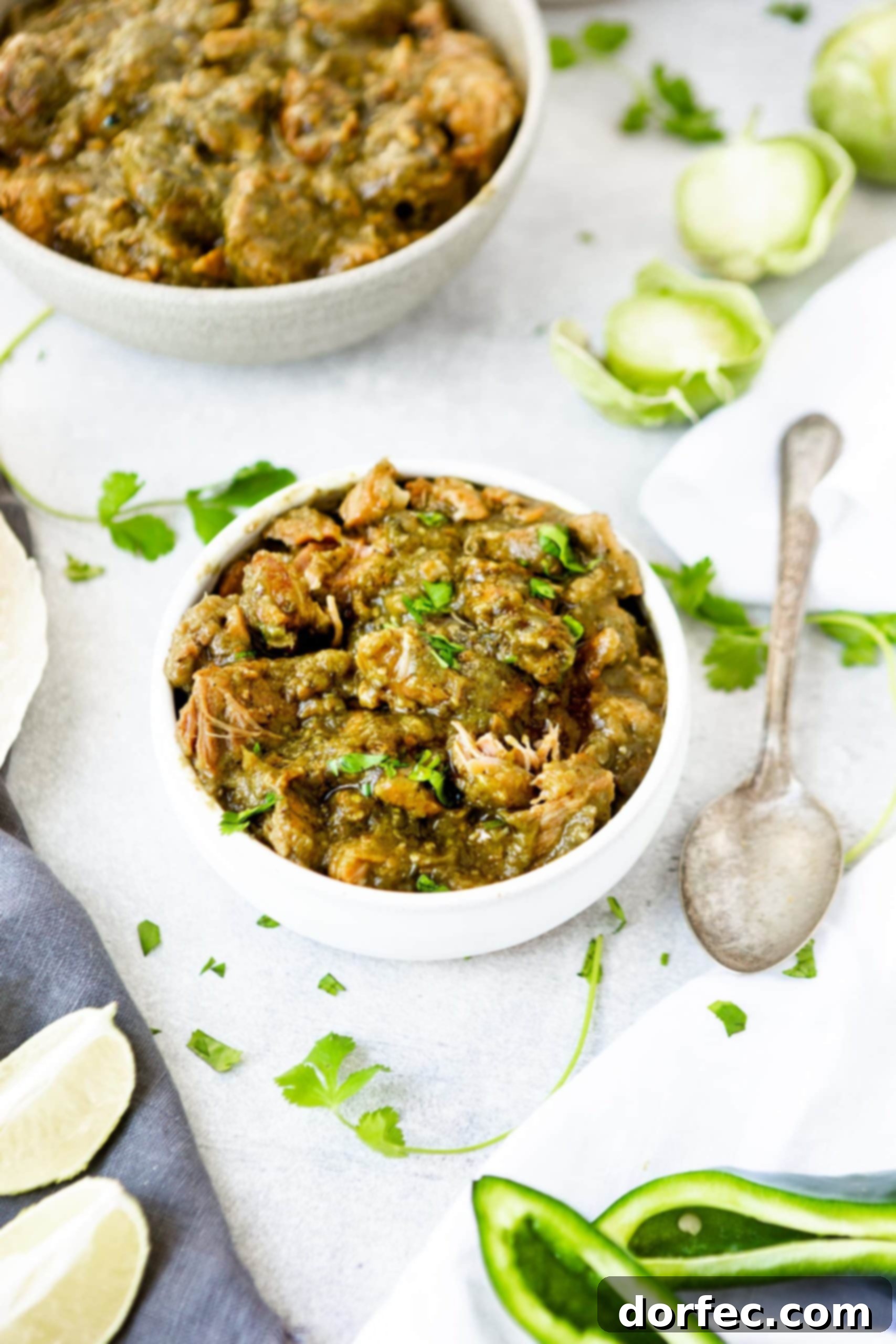 A photo of a bowl full of large chunks of pork chile verde with a spoon sticking out of the bowl.