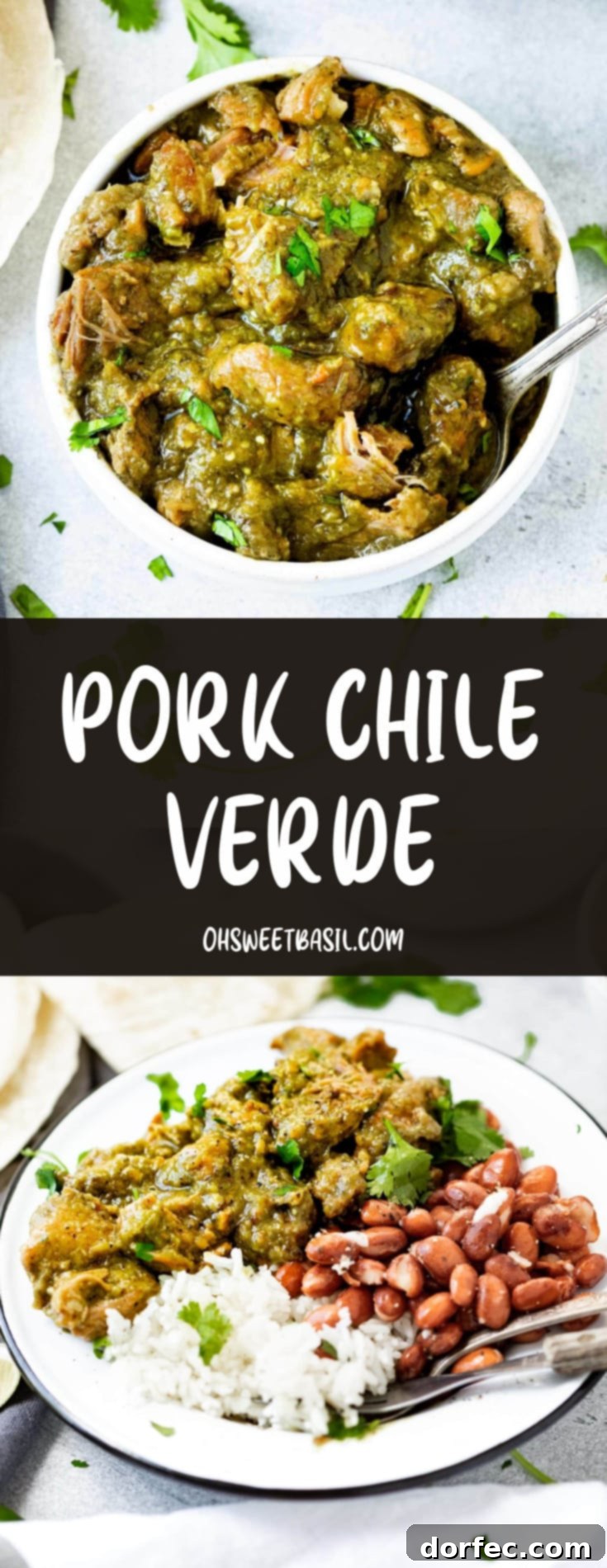 A photo of a bowl full of large chunks of pork chile verde with a spoon sticking out of the bowl.