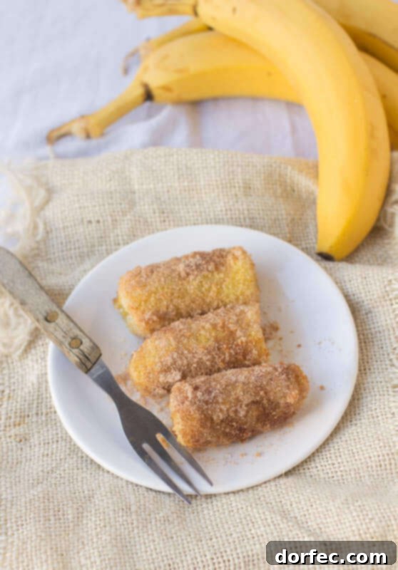 Tucanos Copycat Fried Bananas: A Brazilian Dessert Made Healthier in Your Air Fryer!