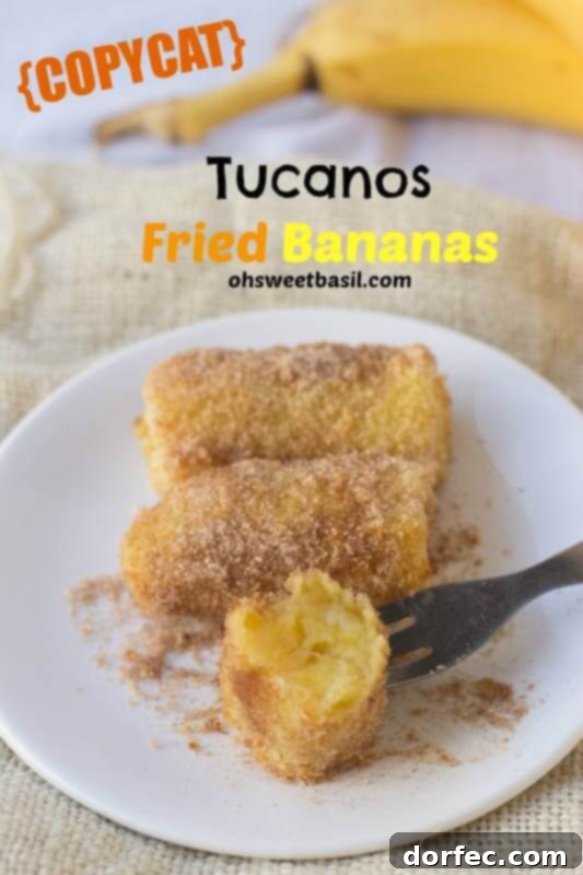 Delicious Homemade Air Fryer Fried Bananas