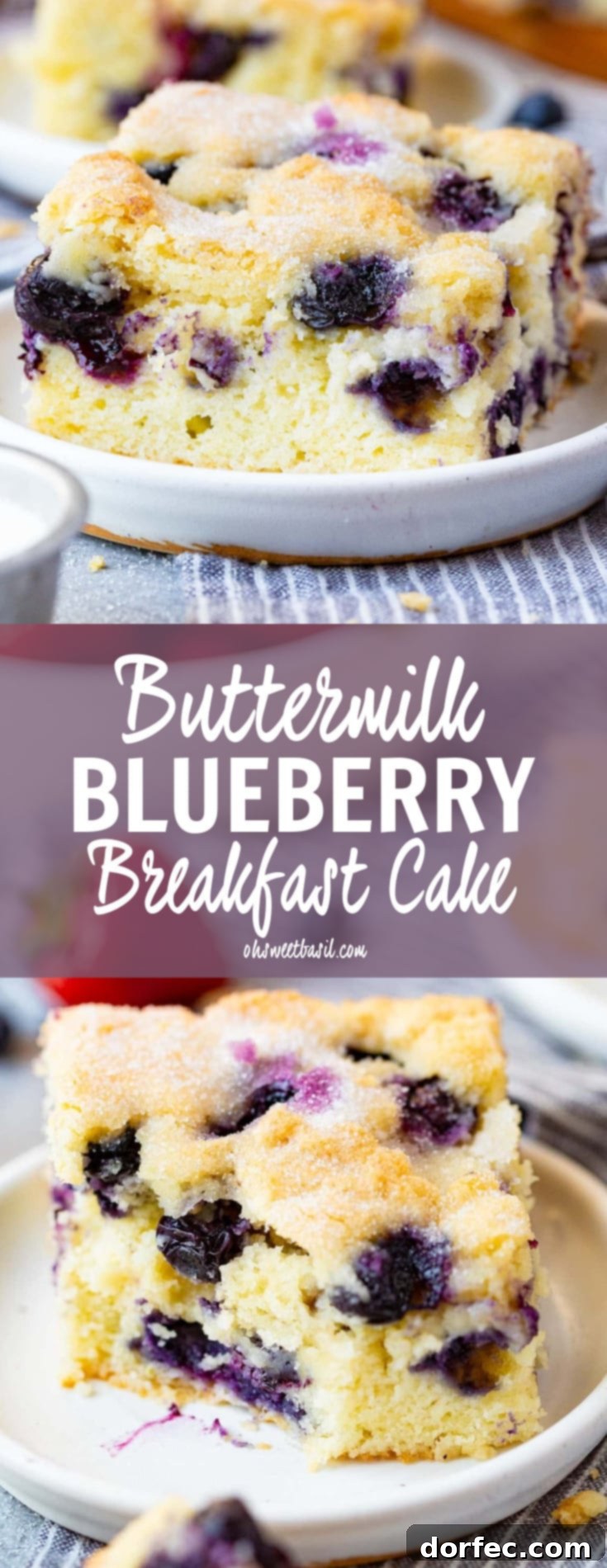 A beautifully baked piece of buttermilk blueberry breakfast cake, with a bite playfully taken out, highlighting its fluffy texture and the vibrant blueberries within.