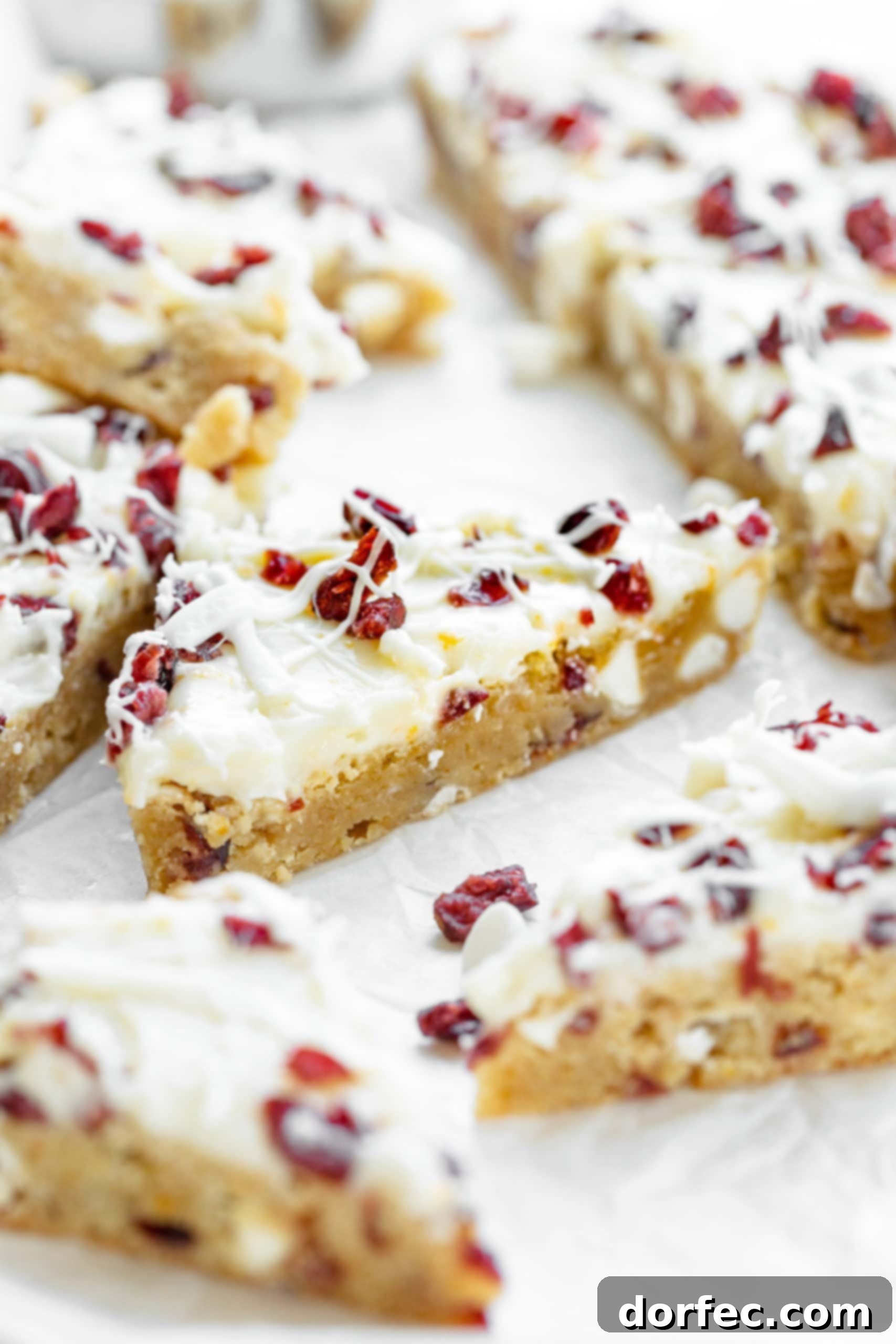 A photo of several triangular blonde brownies, rich with white chocolate chips and dried cranberries, adorned with a white frosting, more dried cranberries, and a delicate white chocolate drizzle.