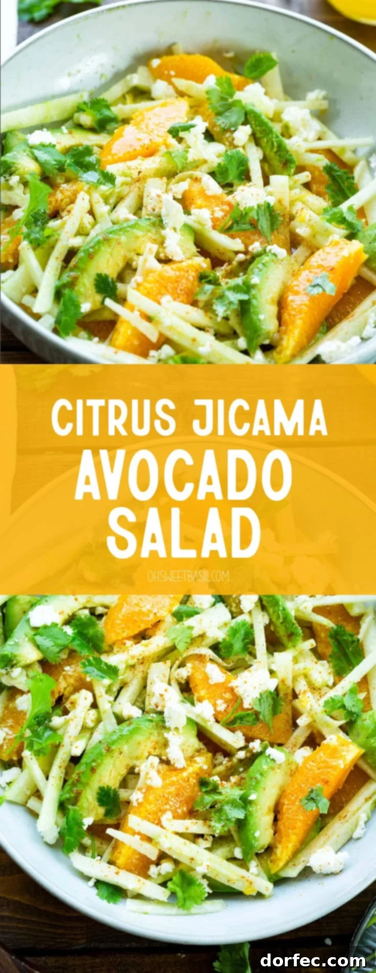 A large white bowl filled with a bright and colorful citrus, veggie, and avocado salad. 