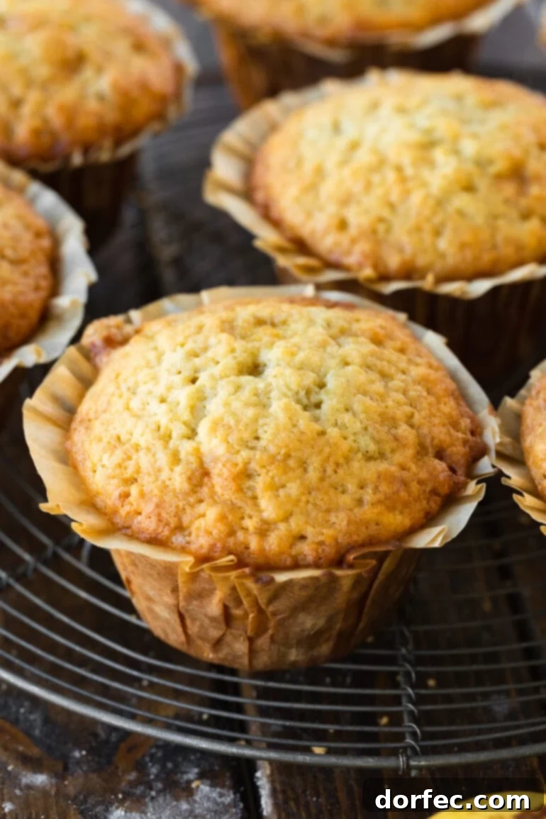 Golden, moist banana muffin baked to perfection in a paper liner, ready to be enjoyed.