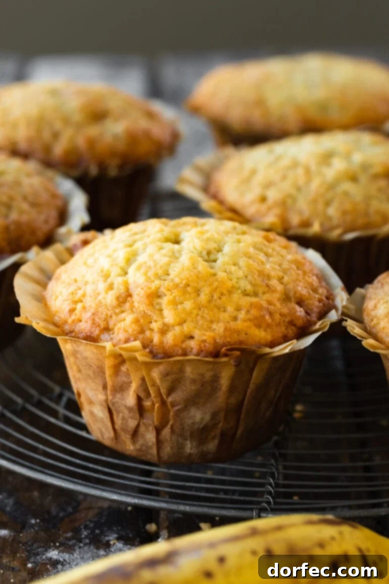 A single baked banana muffin with its paper liner, sitting on a wooden surface.