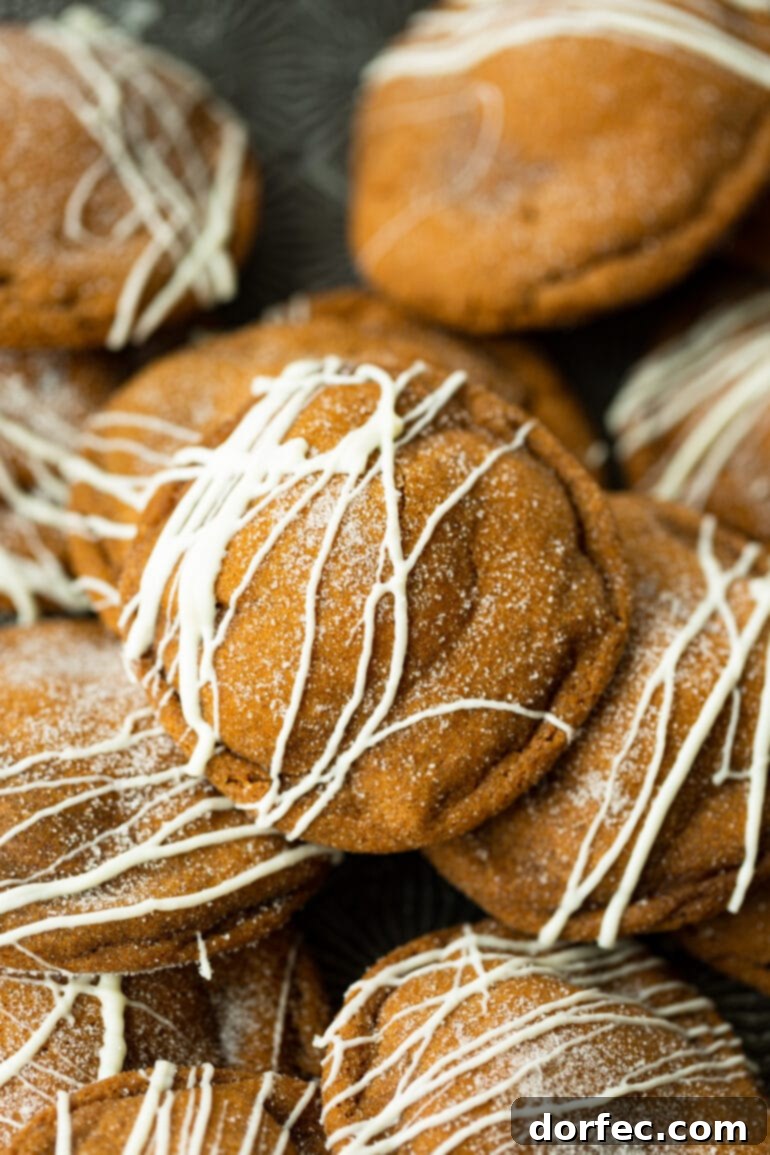 a photo of a thick and chewy molasses cookie with the signature crackly top and it's coated in white sugar and drizzled with white chocolate.