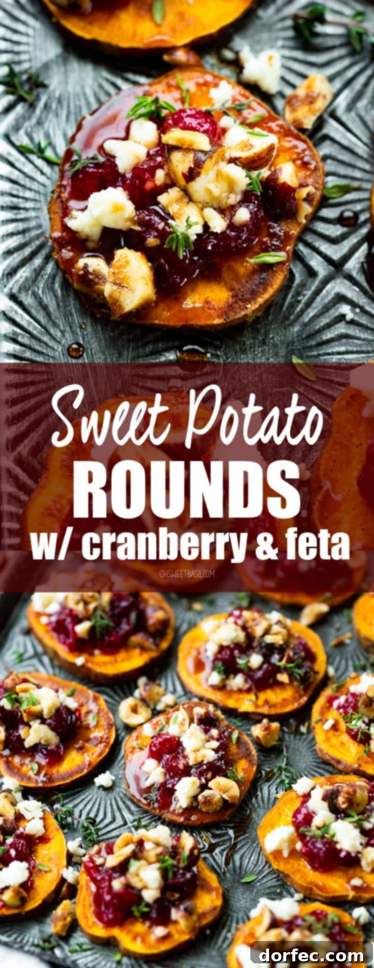 A photo of a roasted orange starchy vegetable round topped with cranberry sauce, feta cheese, and hazelnuts.