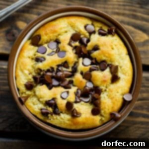 Chocolate Chip Protein Mug Oatmeal 7 Protein Chocolate Chip Cookie Baked Oatmeal in a Mug