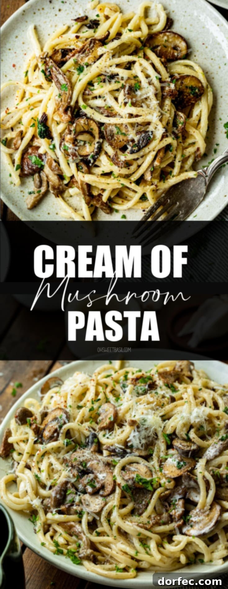 A high-angle shot of creamy bucatini pasta, perfectly tossed with an abundance of golden caramelized mushrooms and generously garnished with grated Parmesan, ready to be savored.
