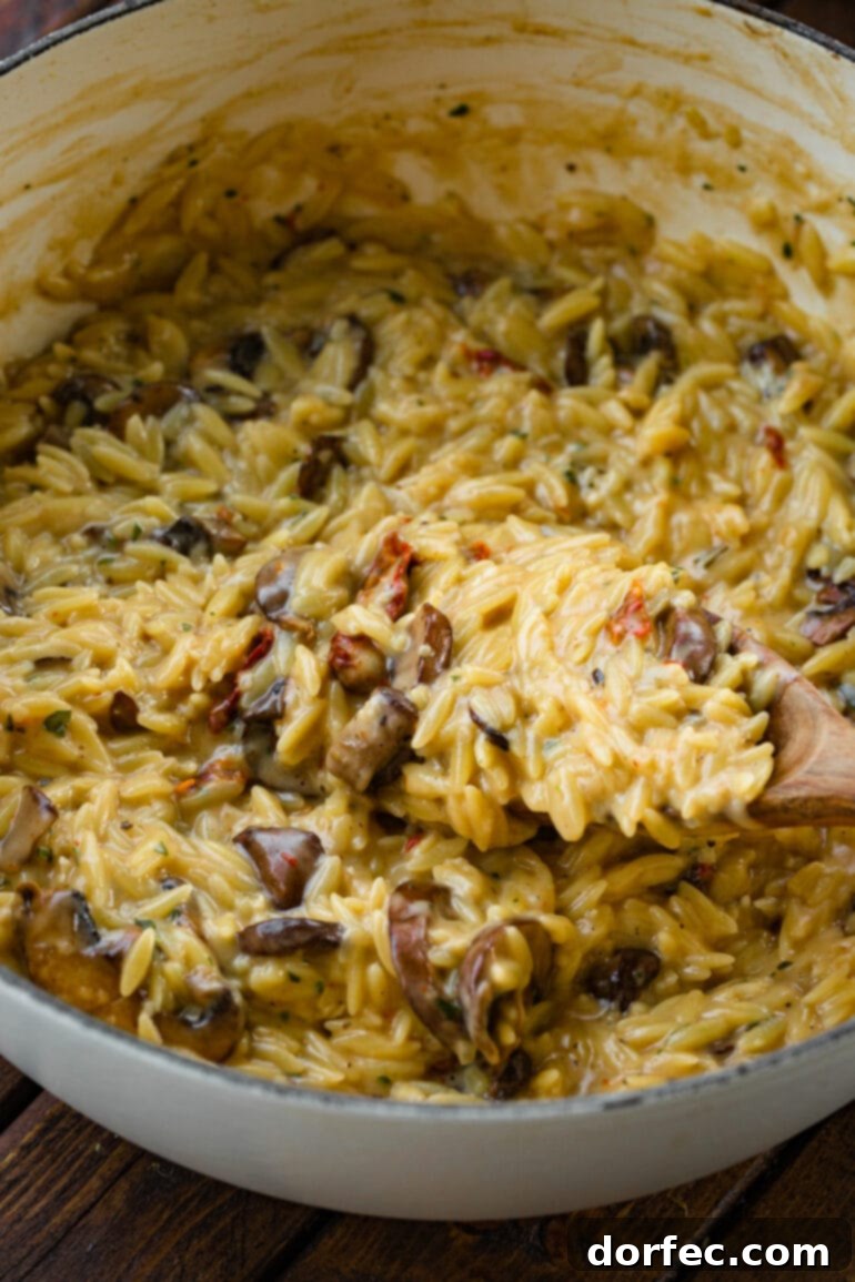 a photo of a scoop of creamy mushroom orzo being lifted out of a pot full of it.