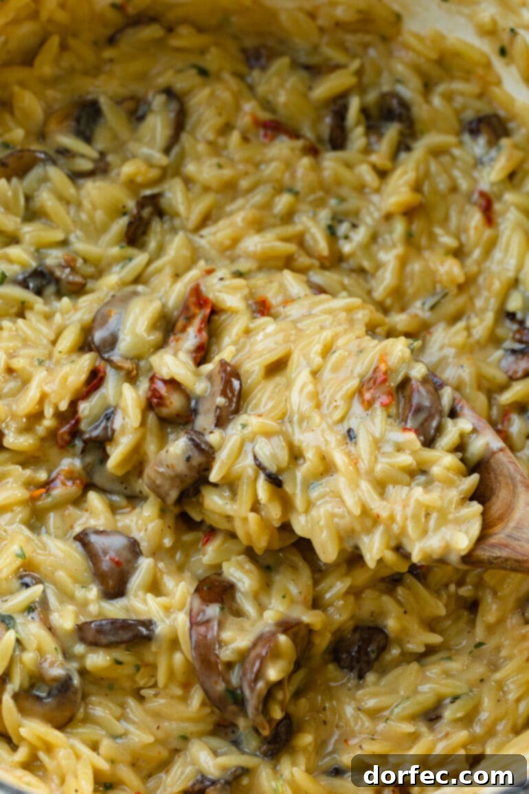 a photo of a spoonful of creamy mushroom orzo being lifted from a pot of the creamy pasta.