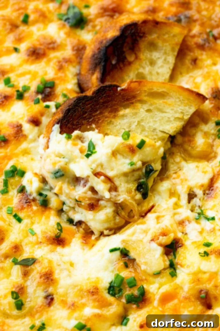 A toasted wedge of bread scooping up a generous portion of creamy hot onion cheese dip.