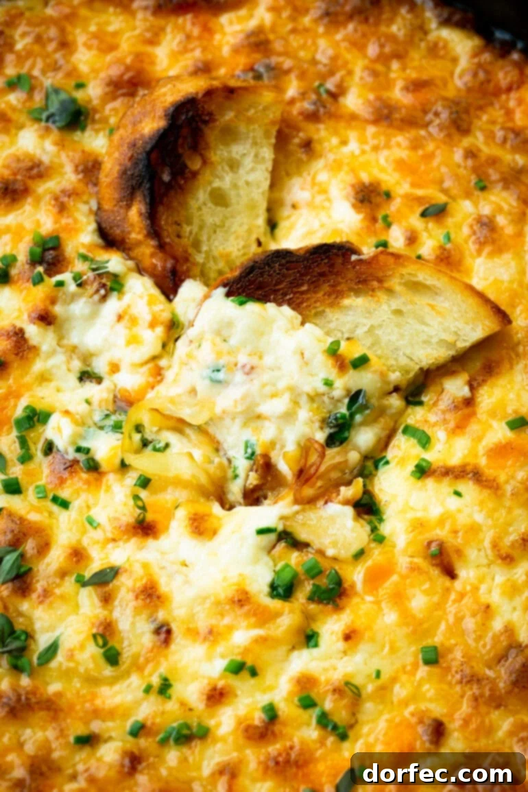 A toasted piece of bread partially dipped into a hot onion cheese dip, showcasing its creamy texture.