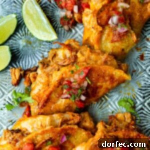 A visual representation of the Chicken Birria Tacos recipe.
