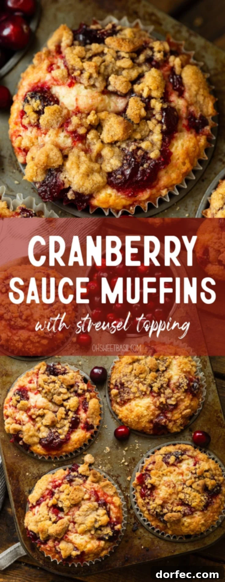 A close-up, overhead shot of a freshly baked cranberry sauce muffin, topped with a rich streusel, with its paper liner gently pulled back.