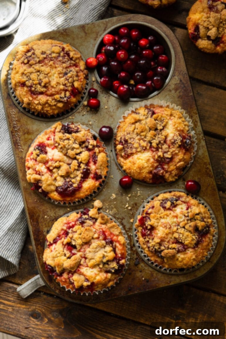 A jumbo muffin tin filled with perfectly baked cranberry muffins, each crowned with a golden streusel topping. Fresh cranberries are scattered around, adding a vibrant touch.