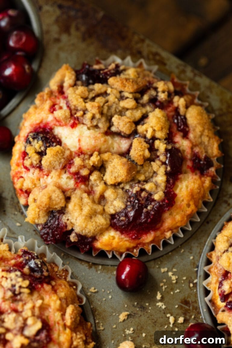 A baked cranberry sauce muffin, topped with a golden streusel, sits invitingly in its tin, surrounded by scattered fresh cranberries.