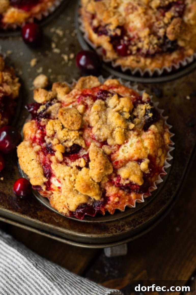 A freshly baked cranberry sauce muffin, still nestled in its liner within the muffin tin, captured from an appealing overhead angle.