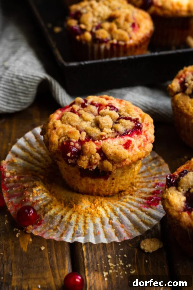 A beautifully baked cranberry sauce muffin, with its liner peeled back, rests beside several other delectable muffins, showcasing its moist interior and golden streusel.