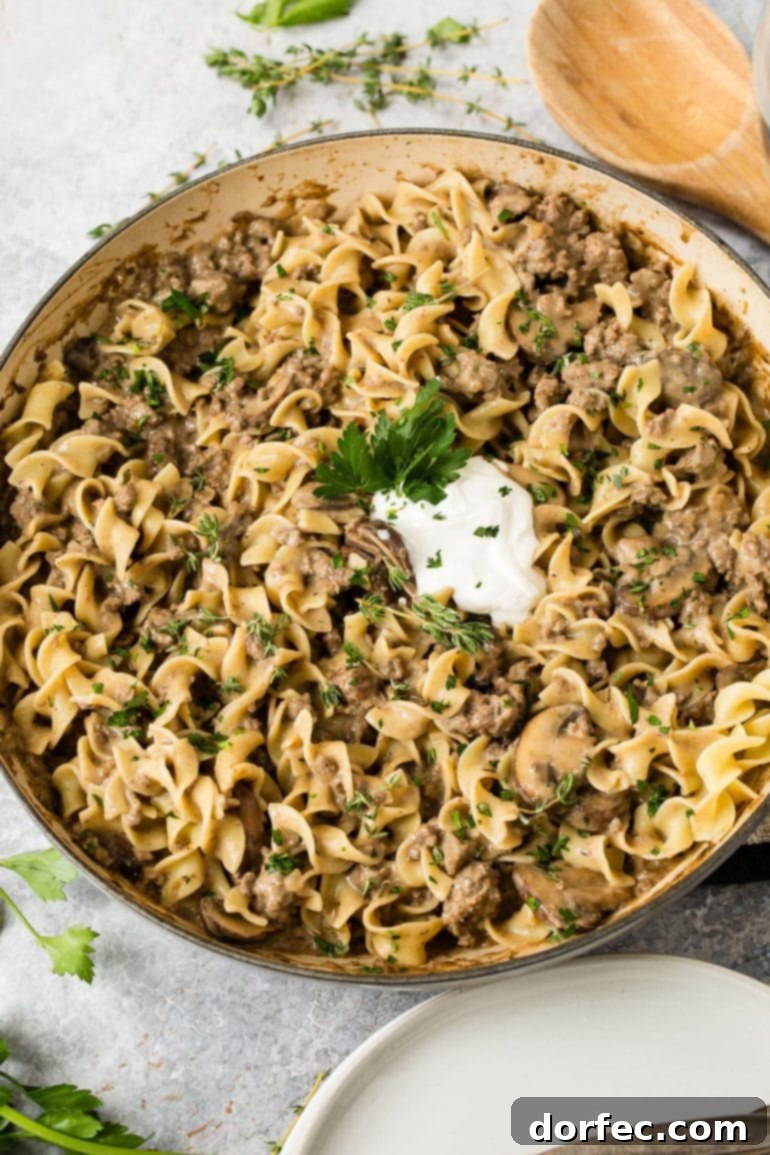 Weekly Meal Plan: September 25 - October 1 8 A generous serving bowl of creamy Ground Beef Stroganoff, featuring tender ground beef and mushrooms in a rich sauce, perfectly intertwined with noodles and topped with a dollop of fresh sour cream. ohsweetbasil.com