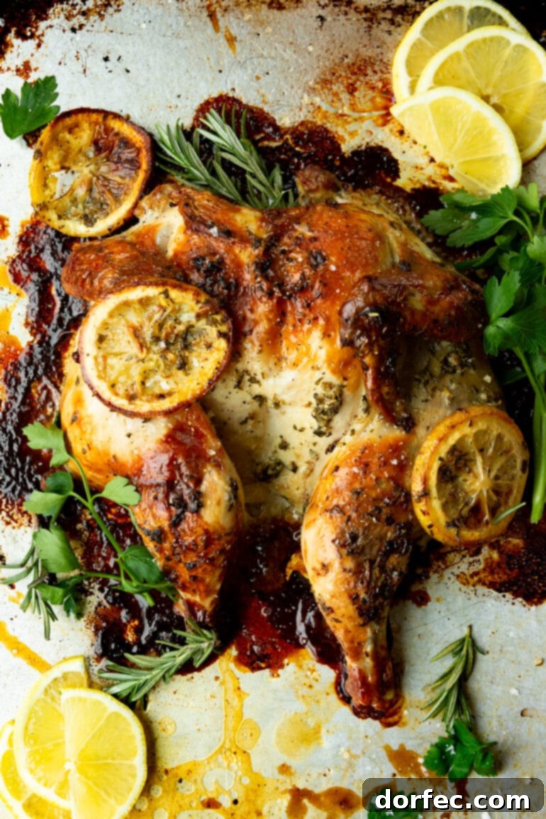 A glorious photo of a perfectly roasted spatchcock chicken, golden brown and glistening, generously covered in fragrant herbs and vibrant lemon slices, showcasing its irresistible crisp skin.