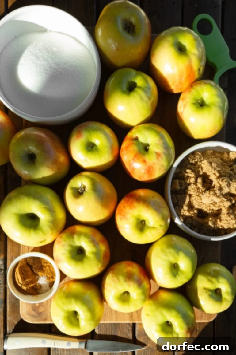 Set-It-and-Forget-It Slow Cooker Apple Butter 3 A vibrant collection of whole unpeeled apples resting on a wooden cutting board, accompanied by small bowls of brown sugar, white sugar, and a cup filled with aromatic cinnamon sticks.