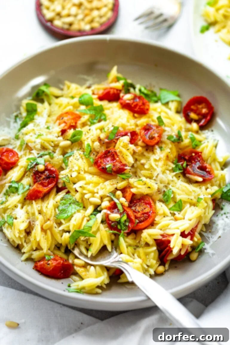 A large serving bowl filled with beautifully cooked orzo pasta, glistening with roasted cherry tomatoes and garlic cloves, and generously garnished with fresh green basil leaves.