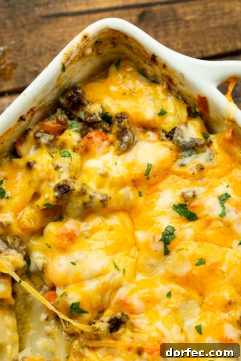 A white square baking dish, brimming with cheesy ground beef and potato casserole, topped with a golden, melted layer of cheese, fresh from the oven. 