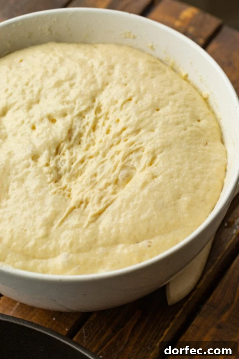 A close-up photograph of Ukrainian pancake batter, visibly risen and very bubbly, in a large white mixing bowl, indicating successful yeast activation.