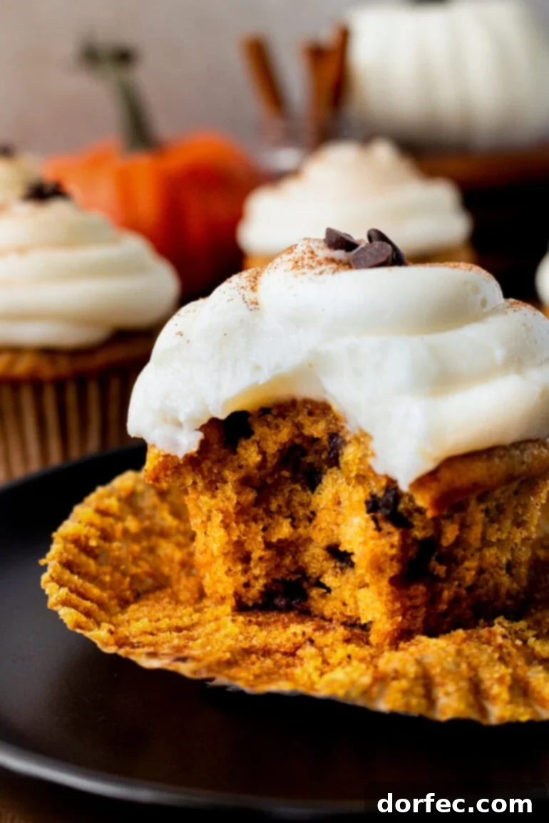 a photo of a chocolate chip pumpkin cupcake with a bite taken out of it and topped with cream cheese frosting