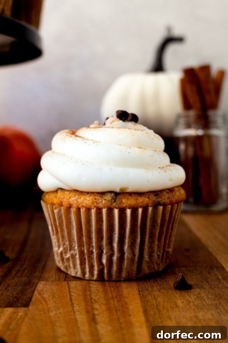 a photo of a single pumpkin chocolate chip cupcake in a muffin liner topped with cream cheese frosting and sprinkled with cinnamon and chocolate chips