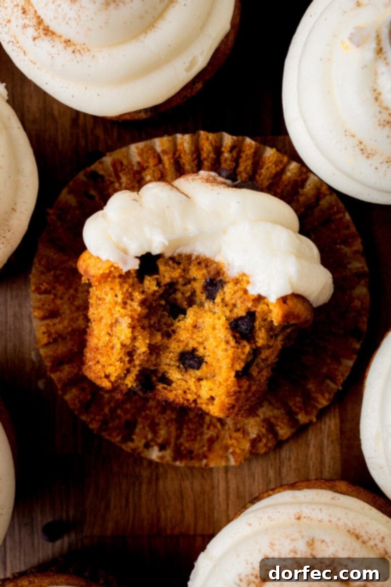 a photo of a pumpkin chocolate chip cupcake topped with cream cheese frosting with a bite taken out of it and it's laying on its side on a flattened cupcake liner